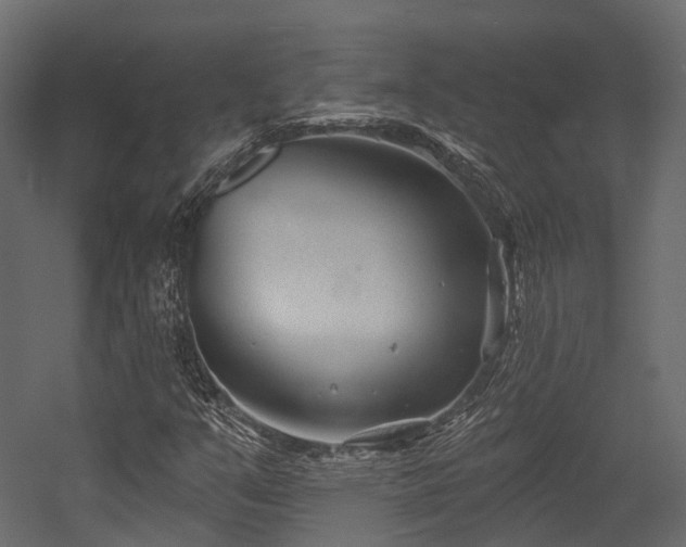 X0000054421351200507291238