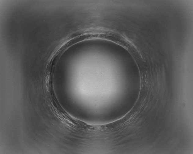 X0000054421352200507291238