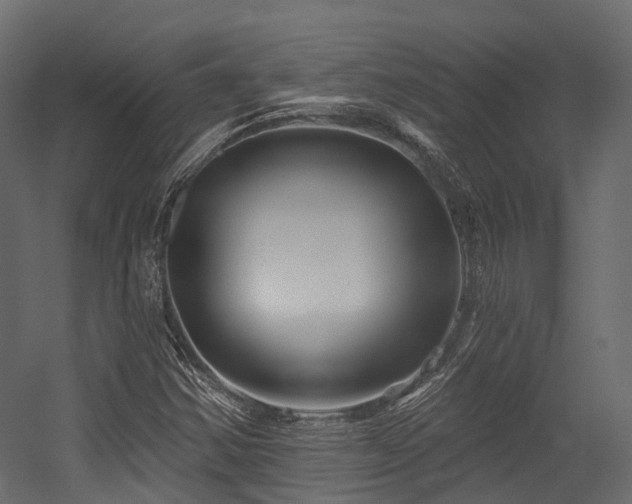 X0000054421354200507291238