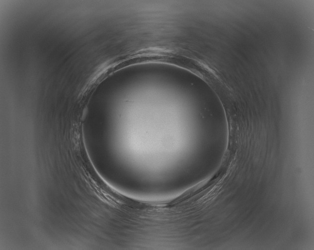 X0000054421355200507291238