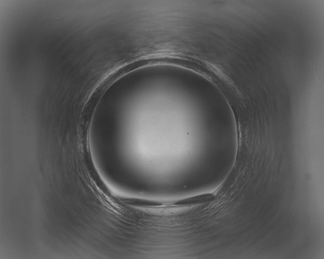 X0000054421356200507291238