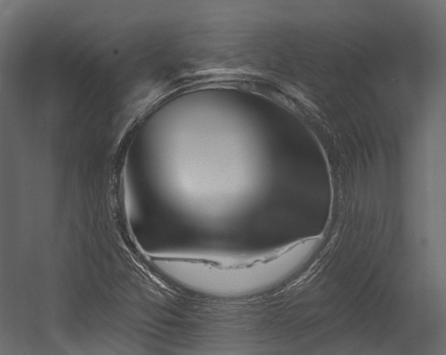 X0000054421357200507291238