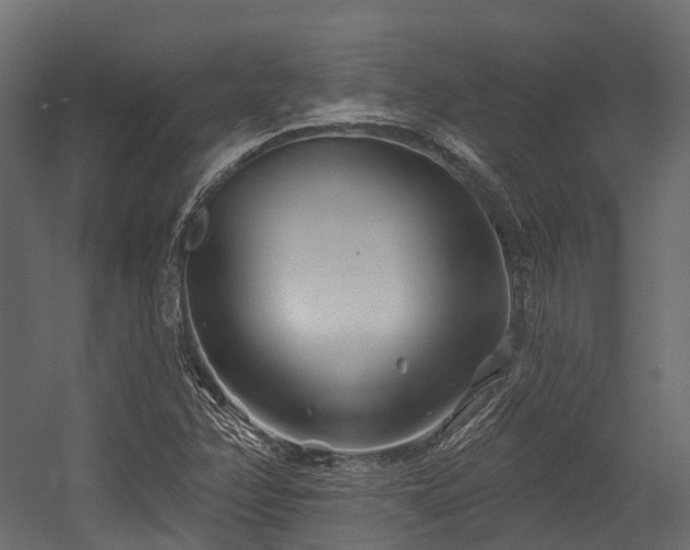 X0000054421358200507291238