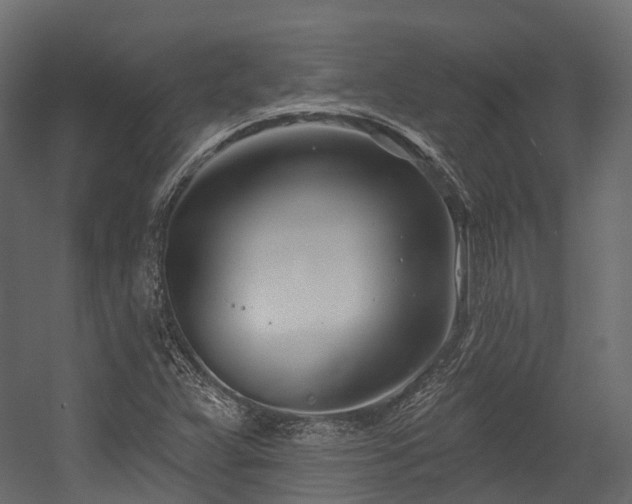 X0000054421359200507291238