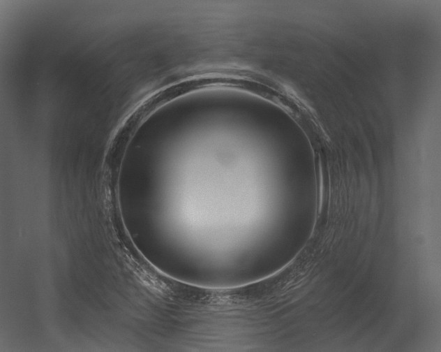 X0000054421360200507291238