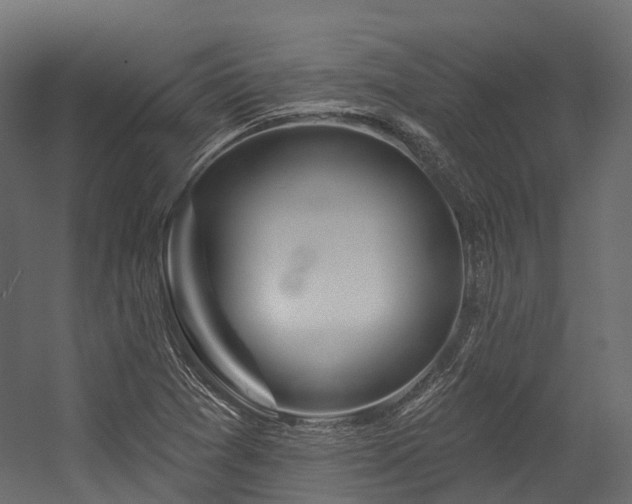 X0000054421361200507291238