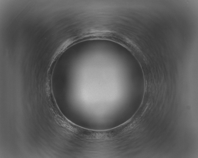 X0000054421362200507291238