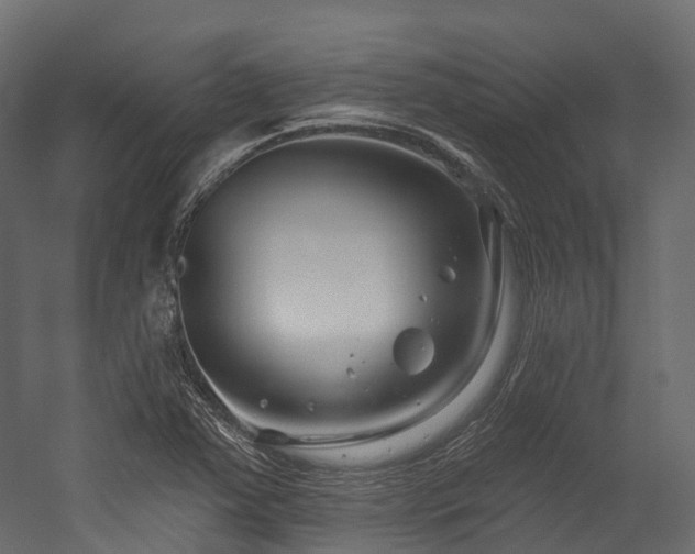 X0000054421363200507291238