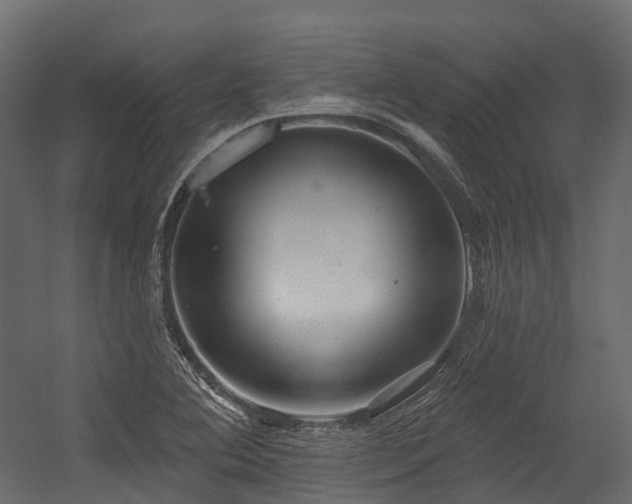 X0000054421364200507291238