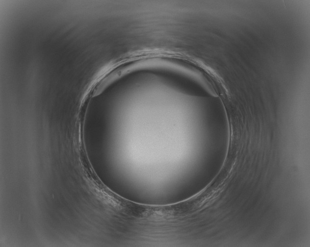 X0000054421365200507291238