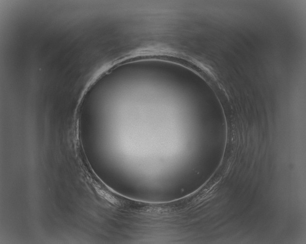 X0000054421366200507291238