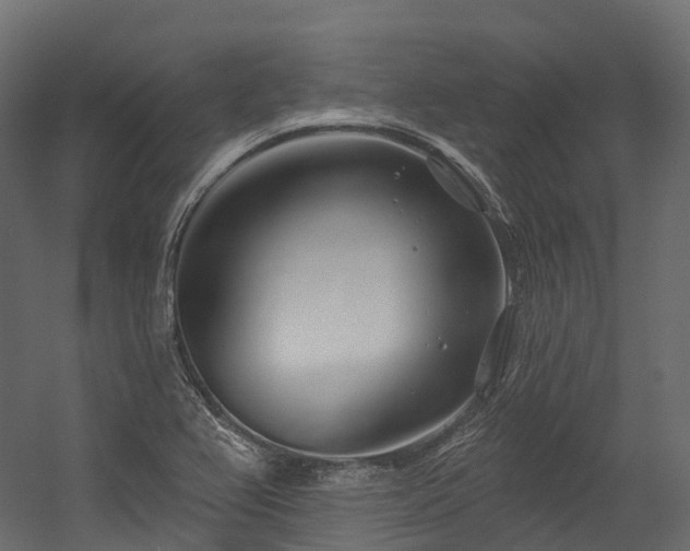 X0000054421367200507291238