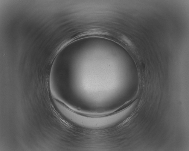 X0000054421369200507291238