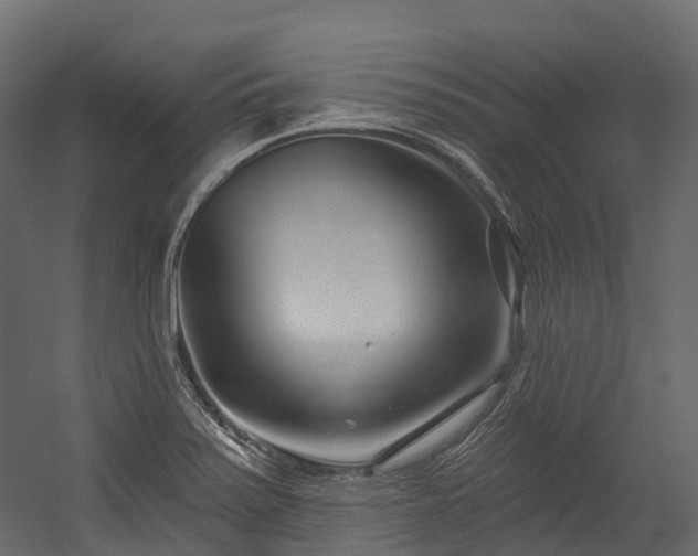 X0000054421371200507291238