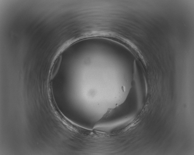 X0000054421373200507291238