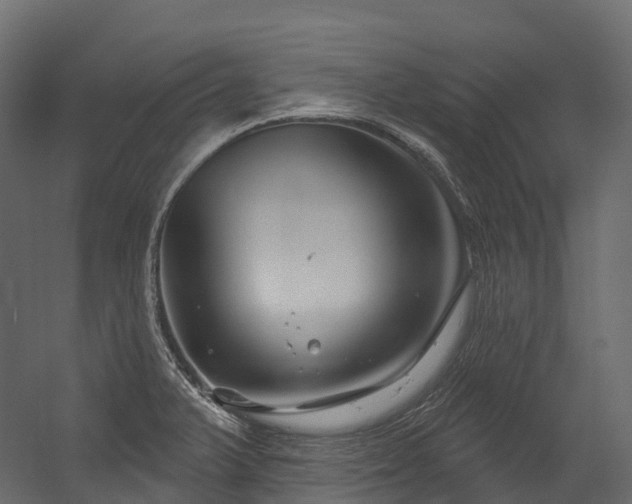 X0000054421375200507291238