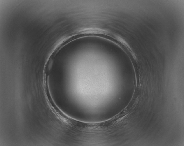 X0000054421376200507291238