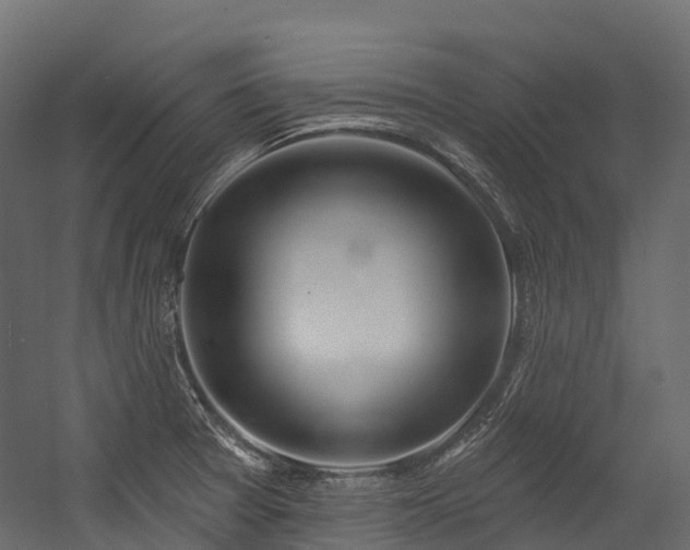 X0000054421377200507291238