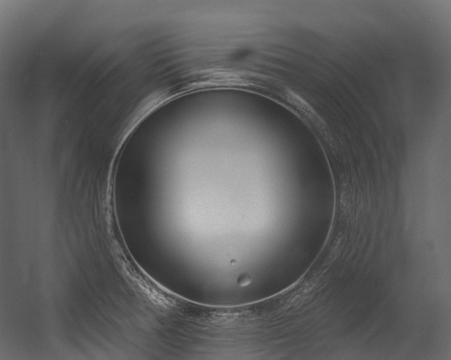 X0000054421378200507291238