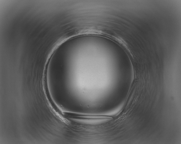 X0000054421379200507291238