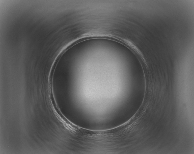 X0000054421380200507291238