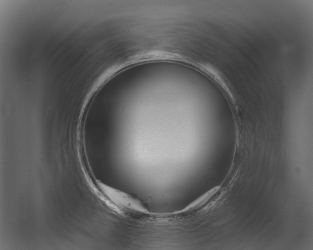 X0000054421381200507291238