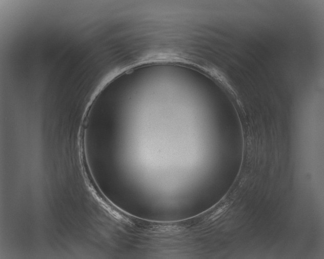 X0000054421382200507291238