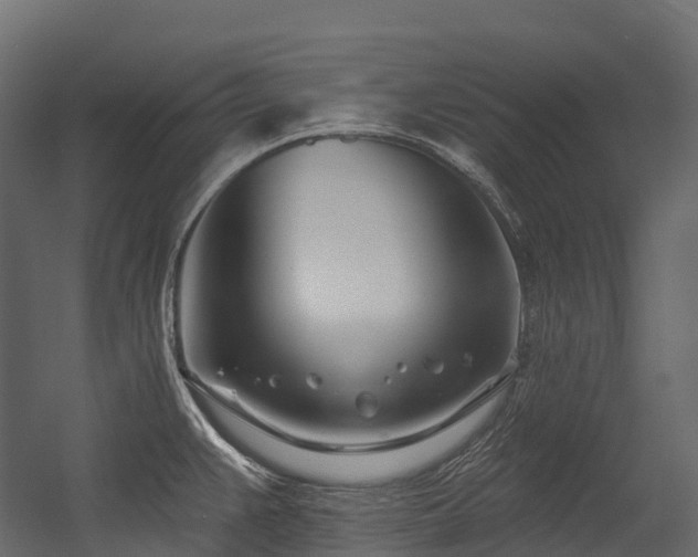 X0000054421383200507291238