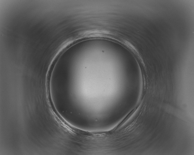 X0000054421384200507291238