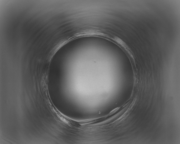 X0000054421385200507291238