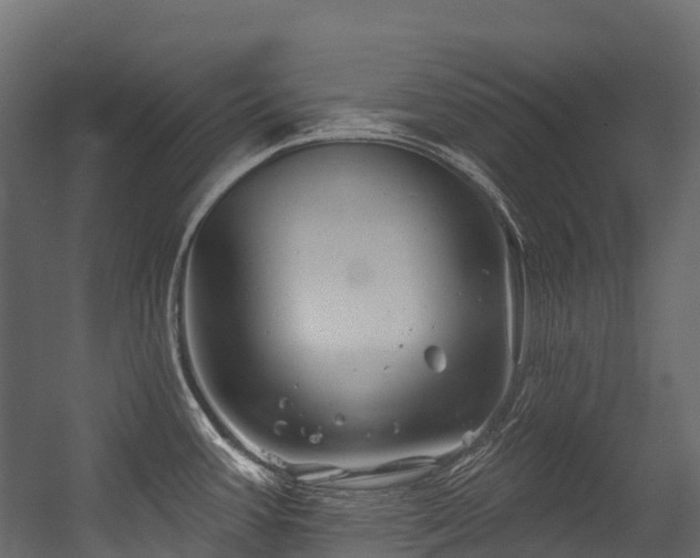 X0000054421387200507291238