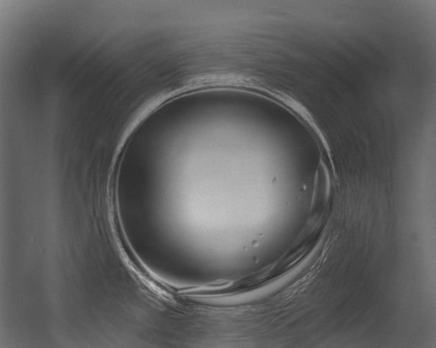 X0000054421389200507291238