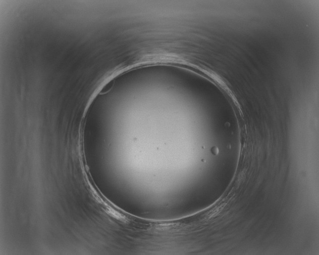 X0000054421390200507291237