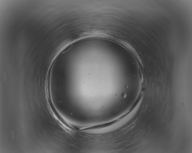 X0000054421391200507291237