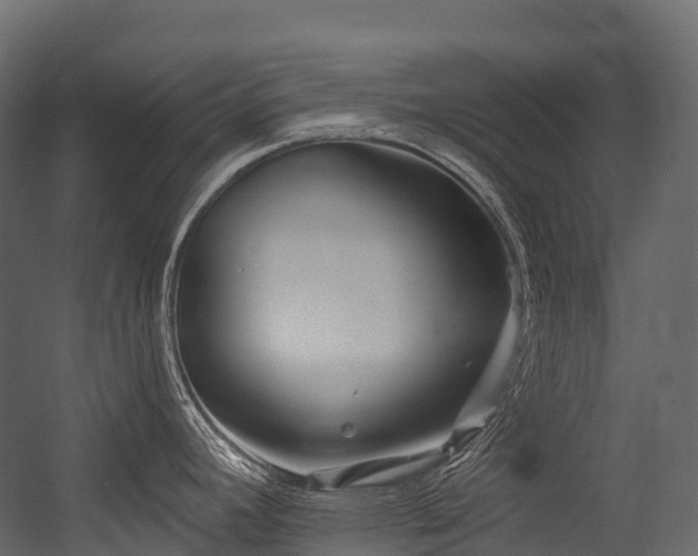 X0000054421392200507291237