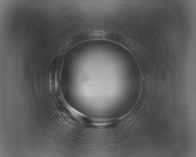 X0000054421394200507291237