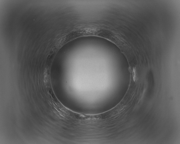 X0000054421395200507291237