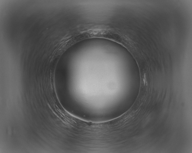 X0000054421396200507291237