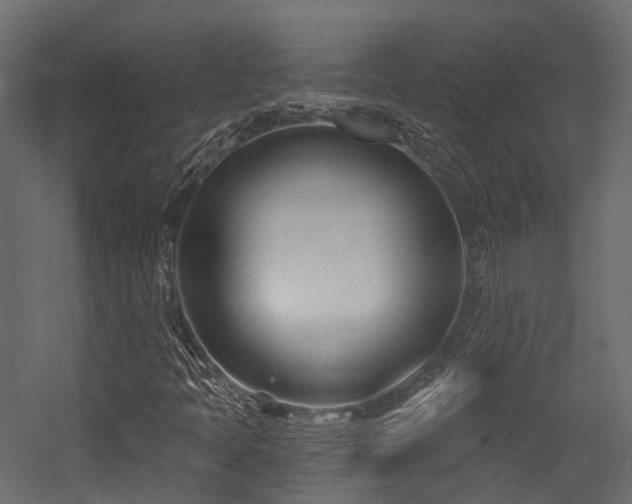 X0000054421397200507291237