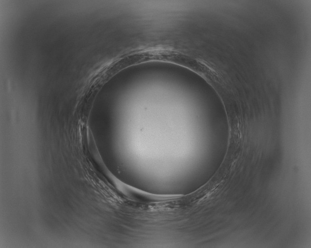 X0000054421398200507291237