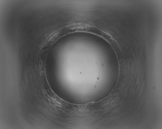 X0000054421399200507291237