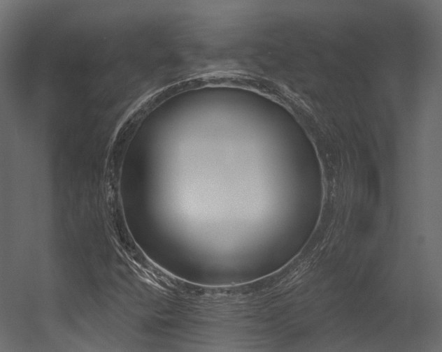 X0000054421400200507291237