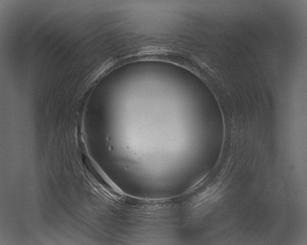 X0000054421401200507291237