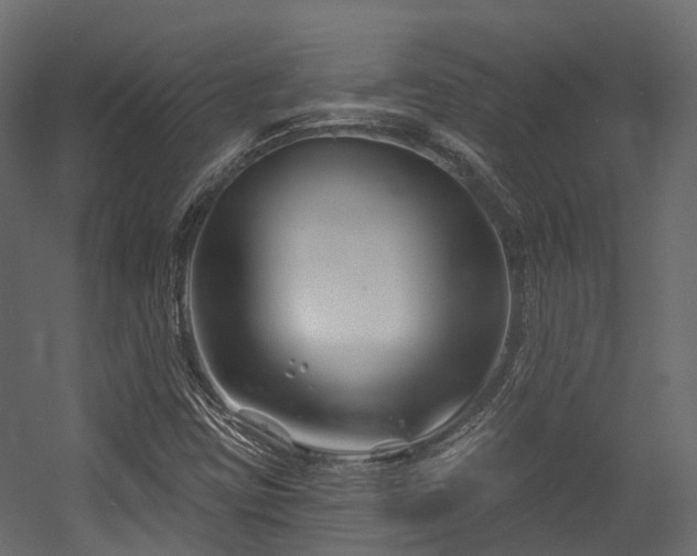 X0000054421403200507291237