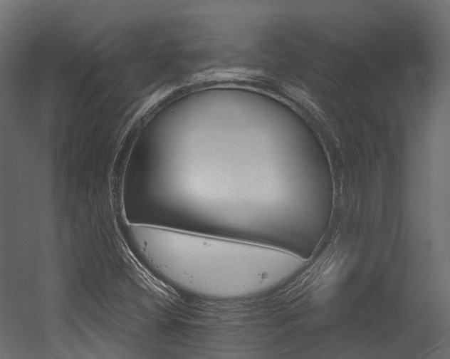 X0000054421404200507291237