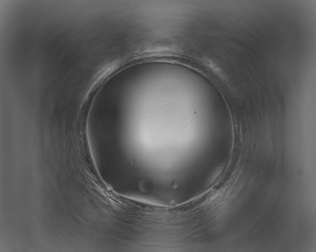 X0000054421405200507291237