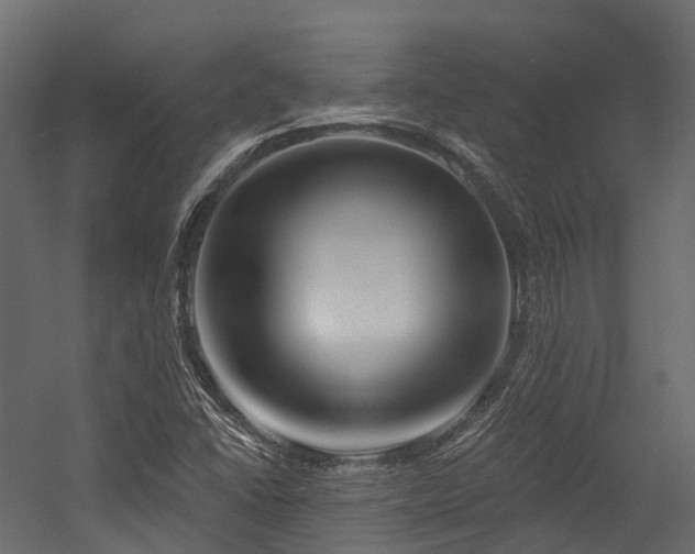 X0000054421406200507291237