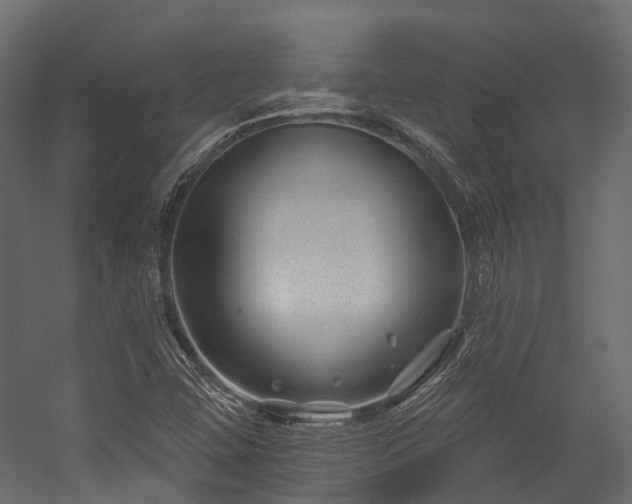 X0000054421407200507291237