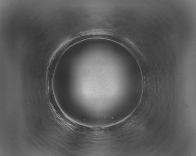 X0000054421408200507291237