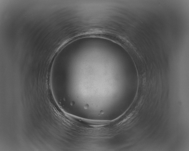 X0000054421409200507291237